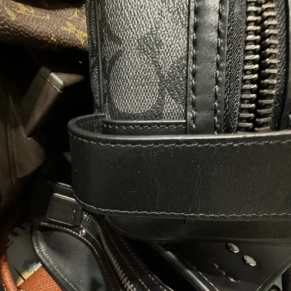 Coach - Picture 4 of 6